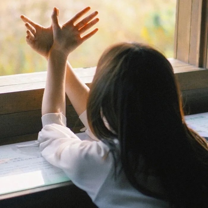 三船敏郎：最后的武士